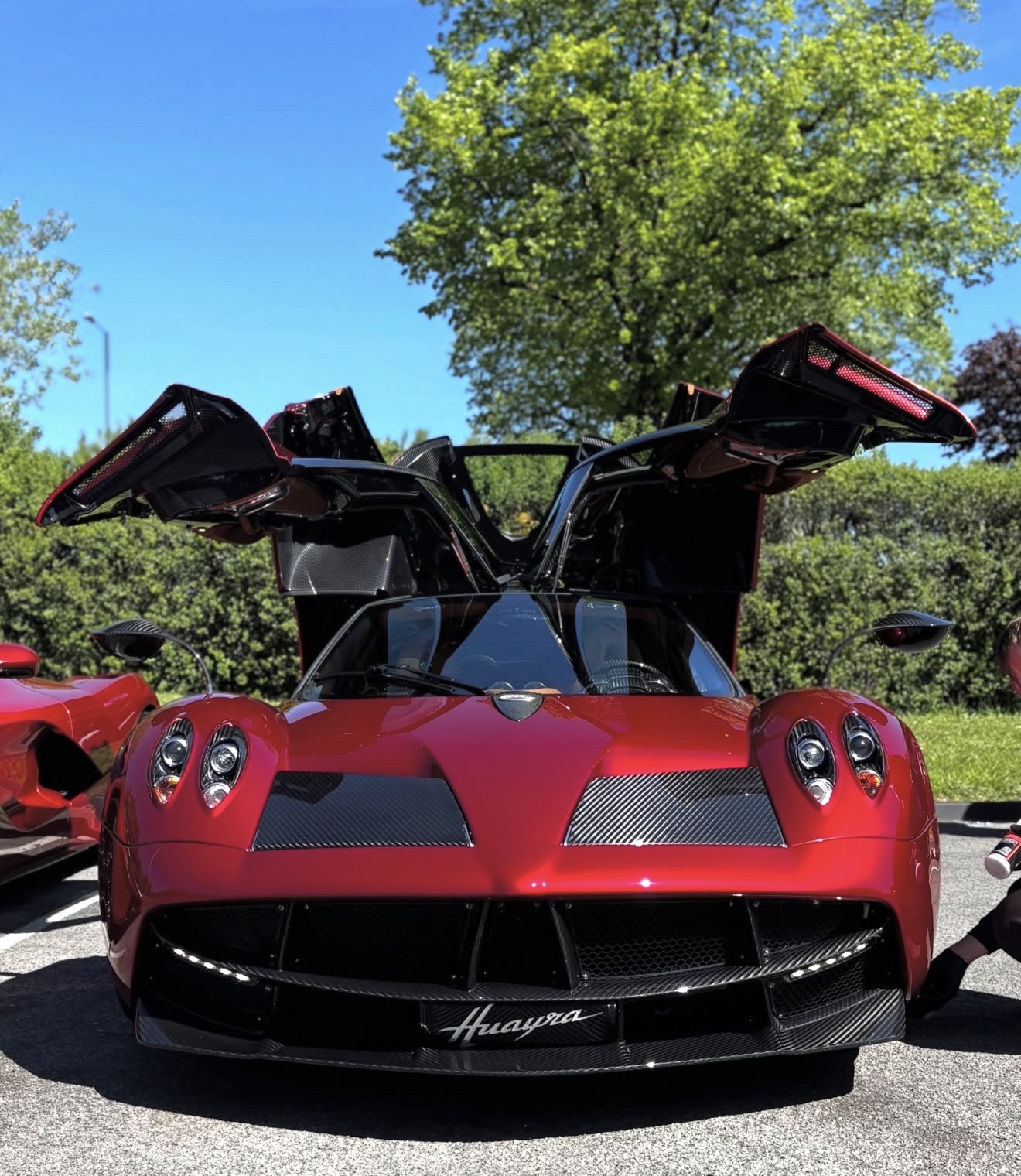 Luxury Pagani detailing