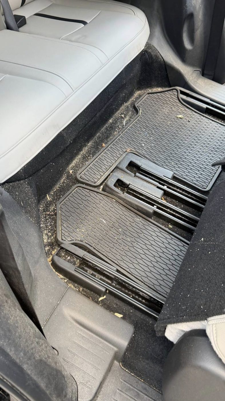 SUV floor mats before detailing