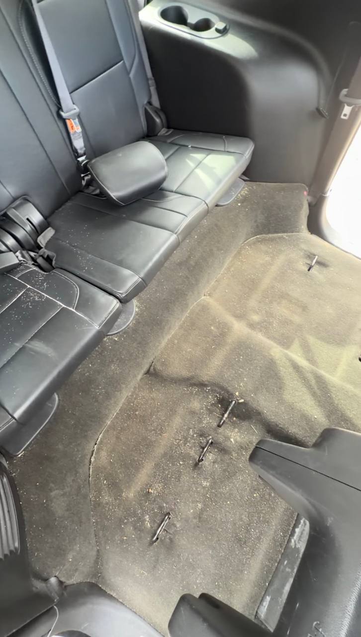 Carpet before cleaning